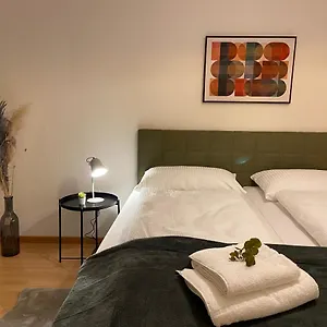 comfort-1-and-2bdr-apartment-close-to-zurich-airport.hotelsbaselswitzerland.com/